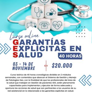 ONLINE - Garantías explícitas en salud 03 de noviembre 2025