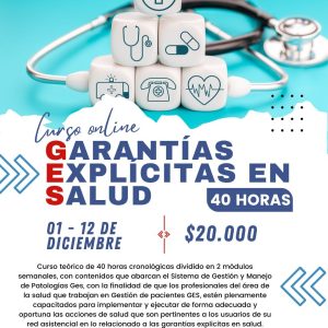 ONLINE - Garantías explícitas en salud 01 de diciembre 2025