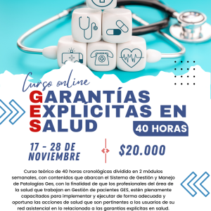 ONLINE - Garantías explícitas en salud 17 de noviembre 2025