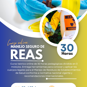 ONLINE - Manejo seguro de REAS - 03 de noviembre 2025