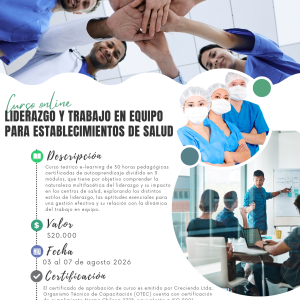 CURSO ONLINE - Liderazgo y trabajo en equipo para establecimientos de salud