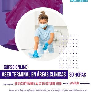 Aseo terminal