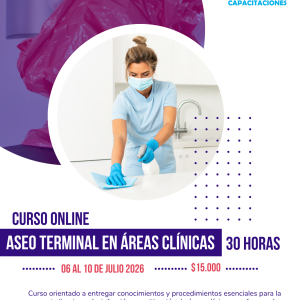 Aseo Terminal en Áreas Clínicas - (30 horas)
